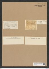 Porpeia ornata Grev. (de-Toni-Nr.: Genus 129, Species 3574) Zeichnungen Sammlung Grunow Nr. 7065 (NHMW-BOT-W0376007)